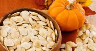 pumpkin seeds