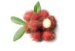 rambutan