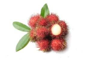 rambutan