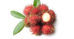 rambutan