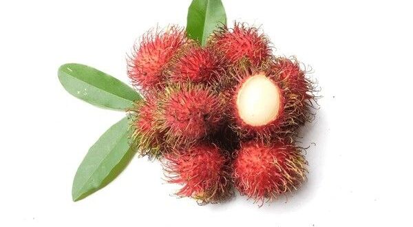 rambutan