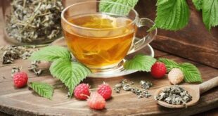 raspberry leaf tea