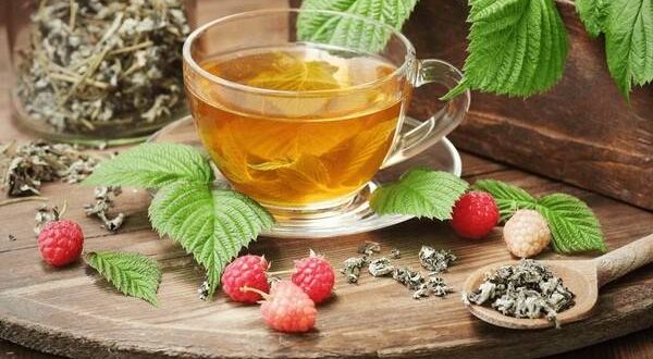 raspberry leaf tea