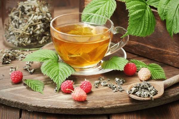 raspberry leaf tea