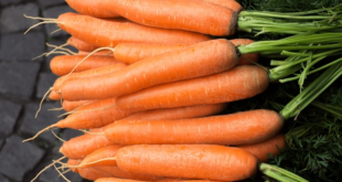 raw carrot