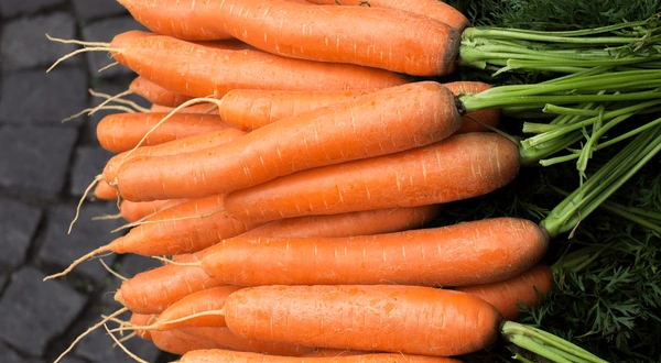 raw carrot