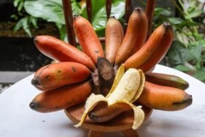 red banana