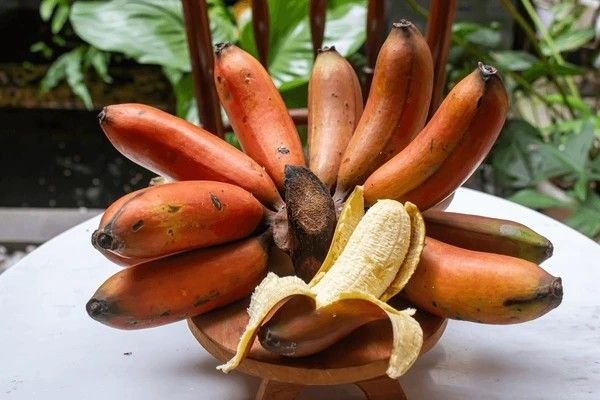 red banana