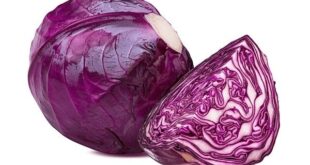 red cabbage