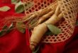 red ginseng