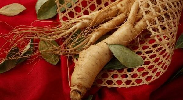 red ginseng