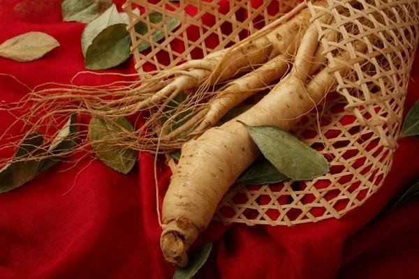 red ginseng