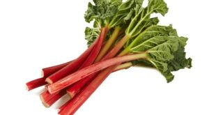 rhubarb