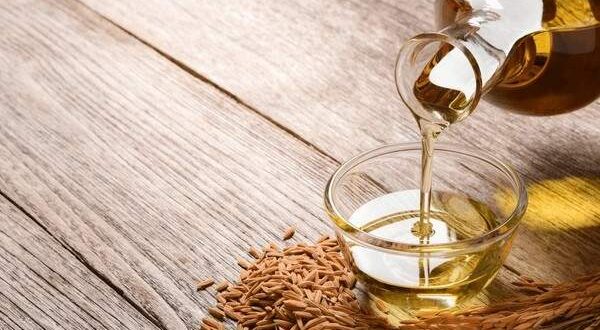 rice bran oil