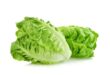 romaine lettuce