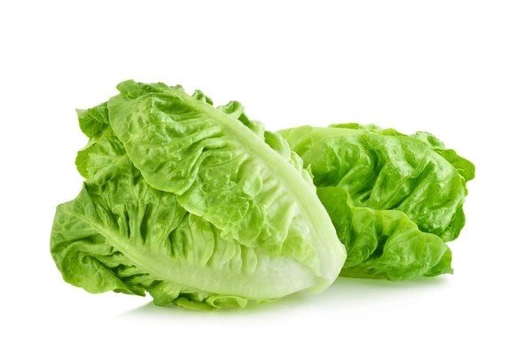 romaine lettuce