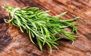 rosemary