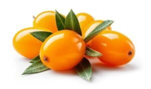 sea buckthorn