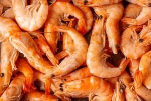 shrimp