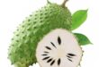 soursop