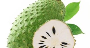 soursop