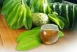 soursop tea