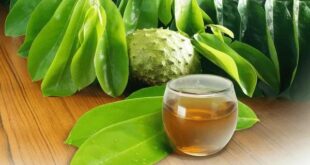 soursop tea