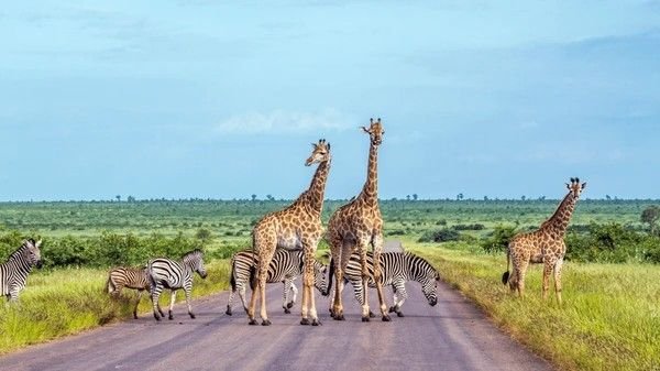 south africa