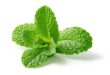 spearmint leaves