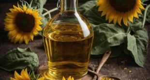 sunflower oil