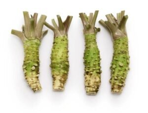 wasabi