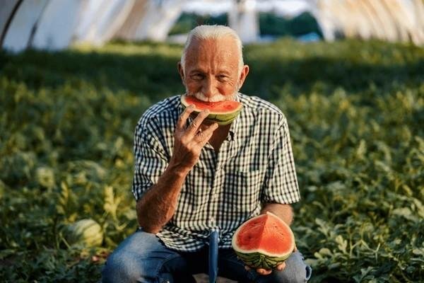 watermelon for men
