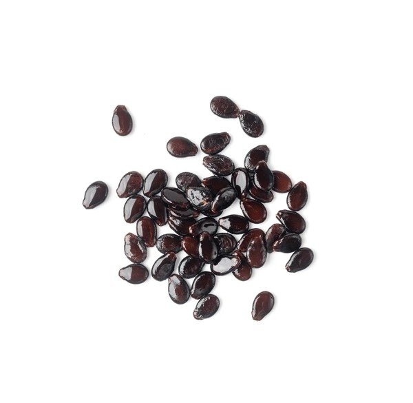 watermelon seed