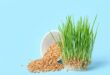 wheatgrass