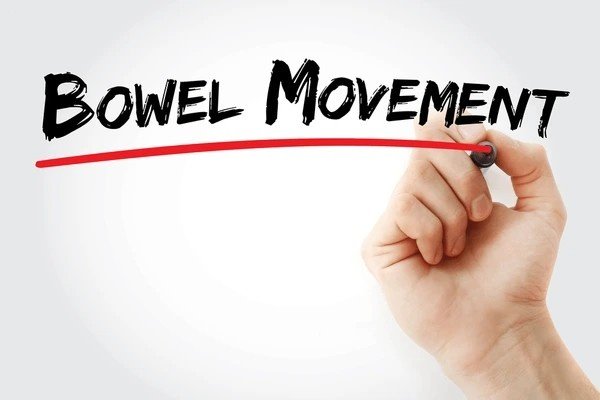bowel movement