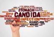 candida in the gut