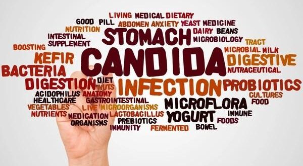 candida in the gut