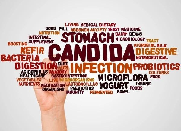 candida in the gut