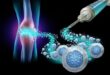 cartilage regeneration