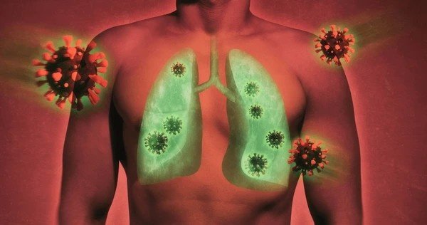 covid lungs