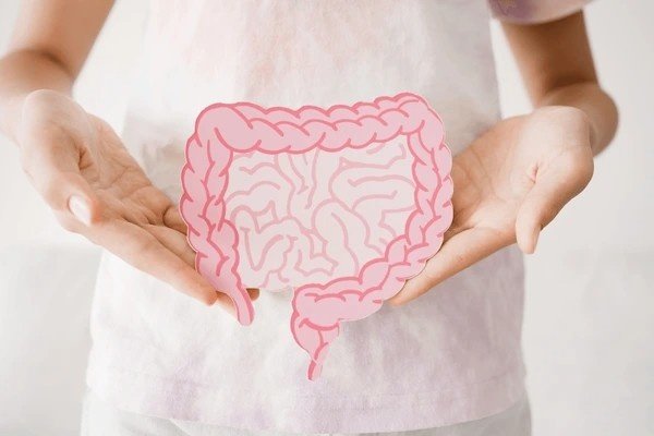 digestion