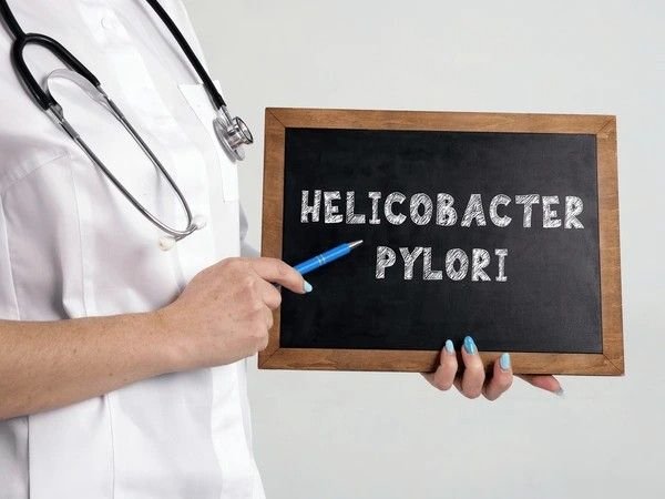 h pylori