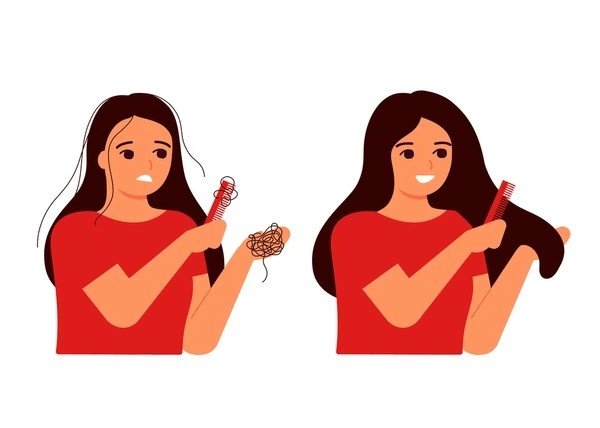 hair fall and regrowth for female
