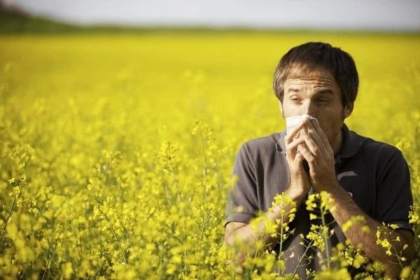 hay fever