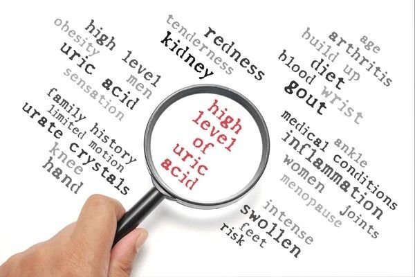 high uric acid