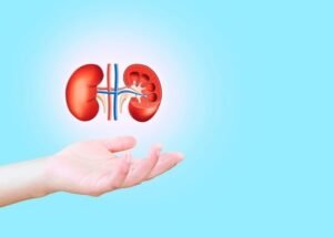 kidneys