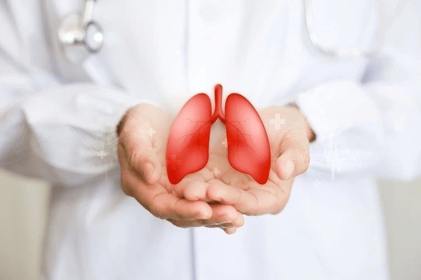 lungs
