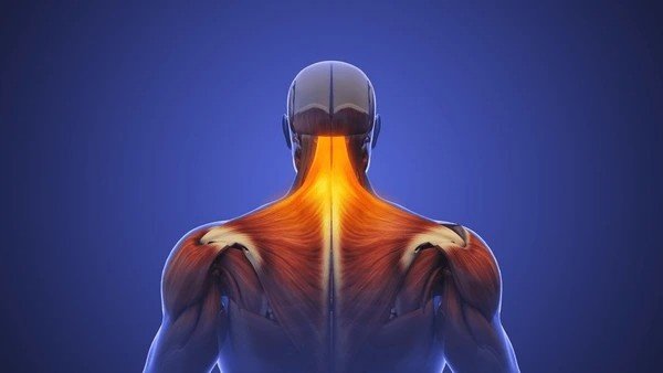 muscle pain and inflammation