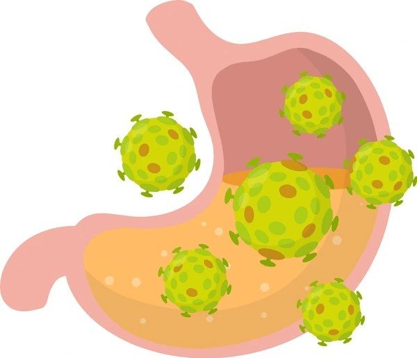 stomach virus