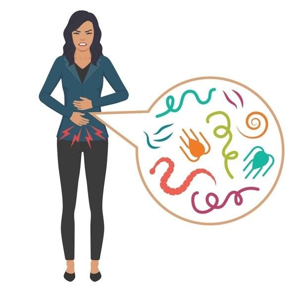 stomach worms in adults